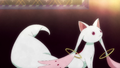 Episode 1 Conversation with Kyubey 9.png