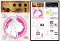 Iroha on the Magia Record Transformation Key Frames Collection Vol.1