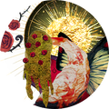 Gertrud (Apex Form)
