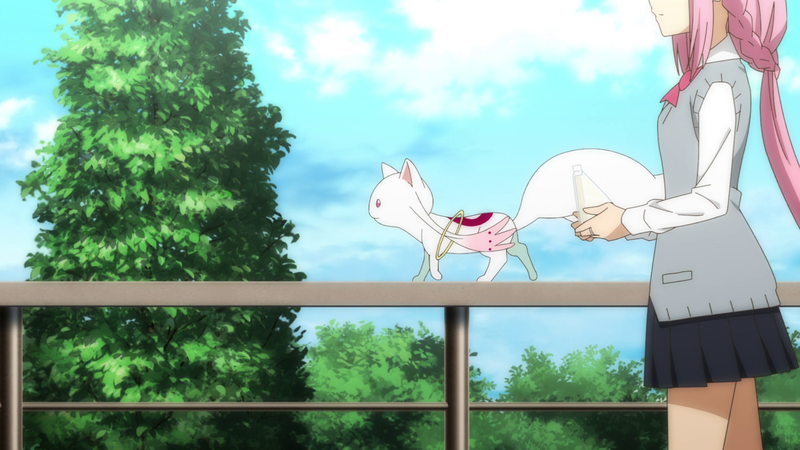 File:Episode 2 Talking with Kyubey 1.png