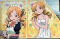 Illustrations of Mami included on a DVD/CD storage case. Mami can be seen with her hair down here.