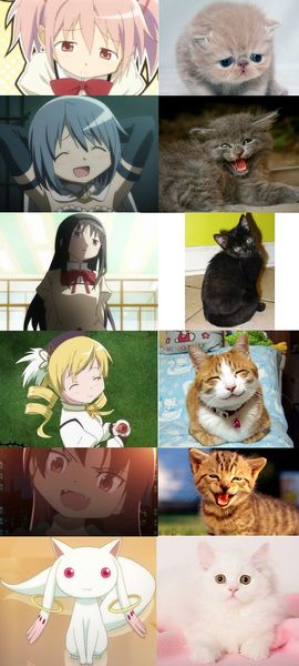 File:Madoka char as cats.jpg