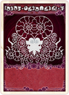 Mirror witch card.png