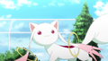 Episode 2 Talking with Kyubey 2.png
