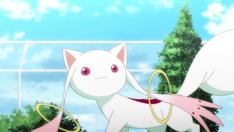 File:Episode 2 Talking with Kyubey 2.png