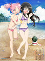 Homura and Madoka on the beach, notice the blushing in Homura's face.
